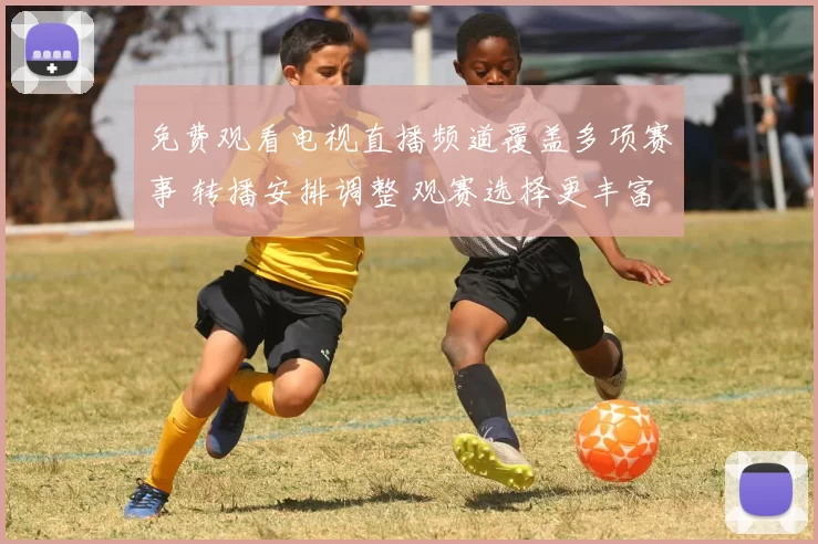 免费观看电视直播频道覆盖多项赛事 转播安排调整 观赛选择更丰富