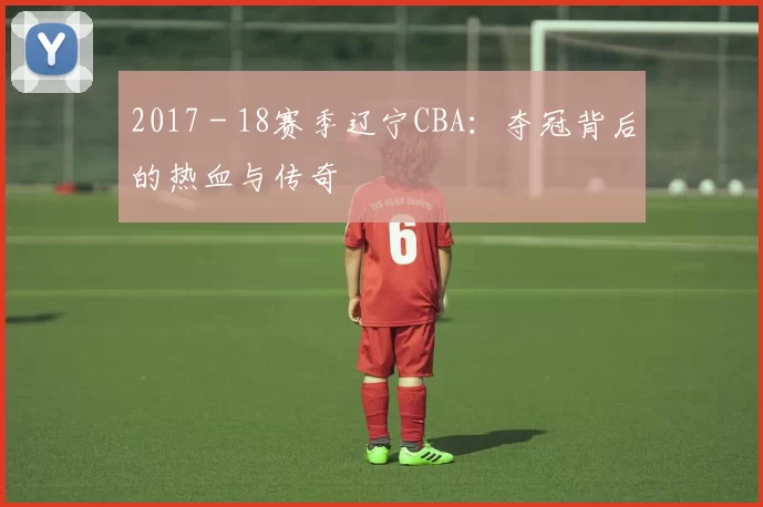 2017 - 18赛季辽宁CBA：夺冠背后的热血与传奇